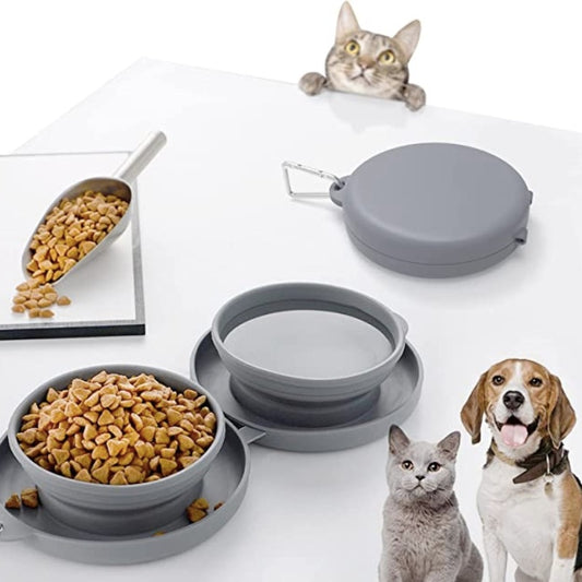 Pet Double Silicone Bowl: Convenience for Your Furry Friend