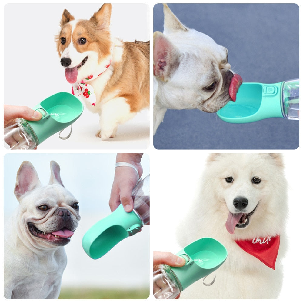 Portable Dog Feeder for On-the-Go Convenience
