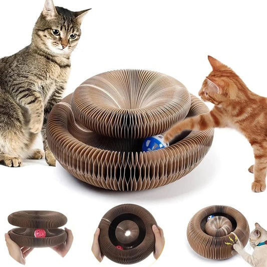 Get The Magic Scratching Cat Toy: Kitty's Delight in 2023