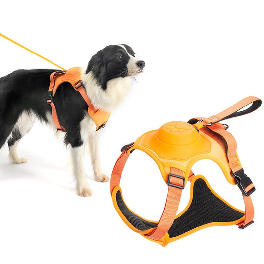 All-in-One Dog Harness & Retractable Leash Set Tool 