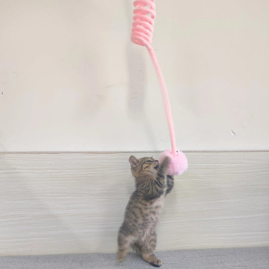 Self-Hanging Pet Toy: Endless Play for Pets 